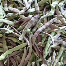 油豆
