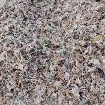 广西桂林贺州藤茶