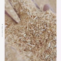 猴头菇各种原料