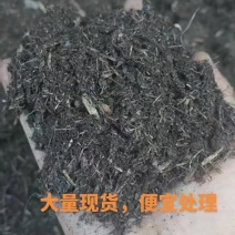 腐殖土