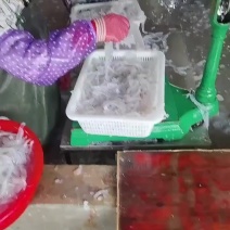 海蜇丝批发