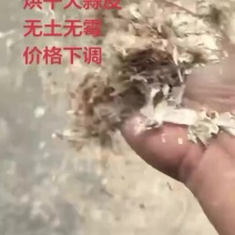 牛羊饲料优质烘干大蒜皮产地直发