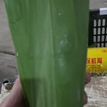 电商代发精品粽叶
