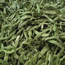 紫花油豆