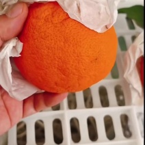 明日见