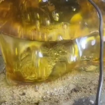 胡麻油