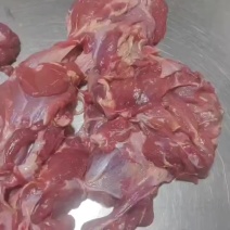 剔骨羊肉15一斤纯干块大全国可发样品。大量现货