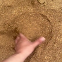 核桃粉育肥快高脂肪喂牛羊鸡鸭鹅都可以吃