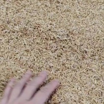 压缩稻壳出售中。厂在岳阳。现货出售