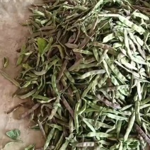 油豆
