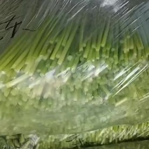 潍坊营丘镇韭苔