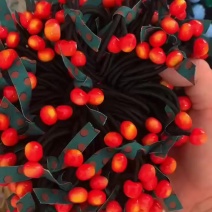 浙江义乌精品头绳大量批发