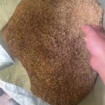 稻壳