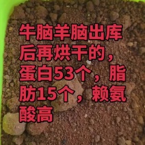 厂家直销牛脑羊脑从冷库出货后再烘干的，蛋白53个，脂15