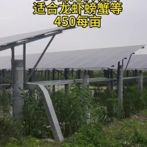 镇江丹阳300亩光伏塘适合养殖