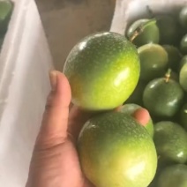 钦蜜9号百香果电商货市场货批发代发，欢迎长期合作