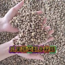 发酵大豆有机肥