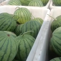 口口脆