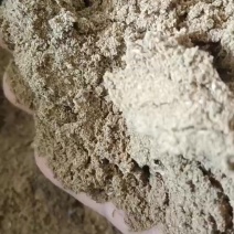 鱼粉