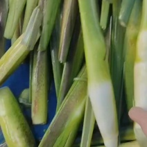 电商精品茭白每日现采鲜货
