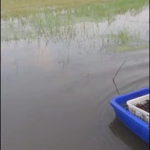 可实地考察…量大优惠