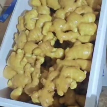 大姜