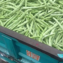 精品白条豆角