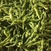 友志蔬菜，罗丝椒大量上市了有需要的老板请联系我，质量好价