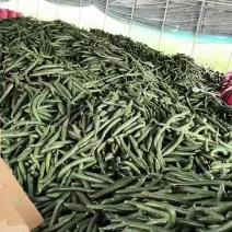 河南商丘夏邑密刺青肉黑
