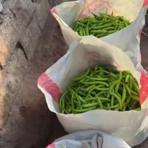 精品杭椒