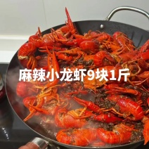 全国供应麻辣小龙虾随时可聊纯净无杂质保障#舌尖上的美食麻辣