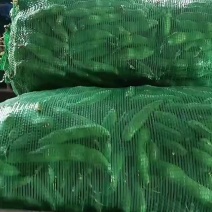 青蚕豆