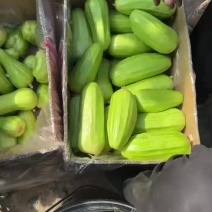八棱菜瓜