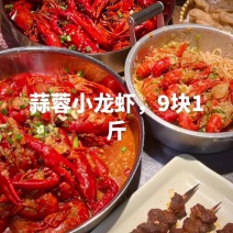 #美食分享蒜蓉小龙虾9块1斤，#夏天吃什么麻辣小龙虾