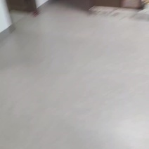 茶陵县野生金银花