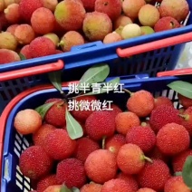 金灶红杨梅泡酒专用偏酸青红杨梅现摘现发
