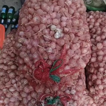 手捡独头蒜