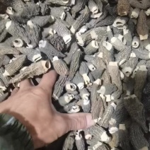 羊肚菌干货