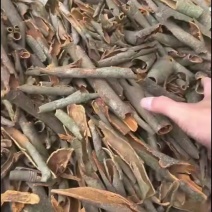 防城桂皮碎
