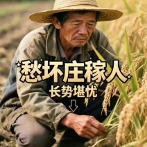 高活性单硅酸只做有效硅制作高活性
