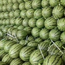 小吊西瓜小糖丸头茬瓜九成熟糖分足