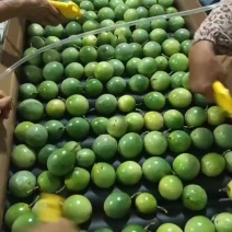 百香果