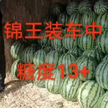 盖县老锦王西瓜