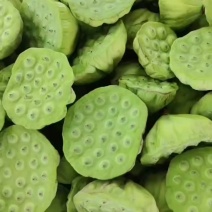 新鲜水果嫩莲蓬今年新出莲蓬大量发货海南基地直供