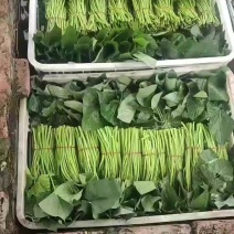 精品上市