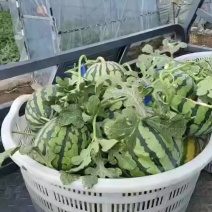 美都