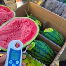 精品西瓜支持拿样