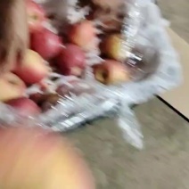 富士苹果走起