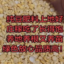 种子公司筛选下来的下脚料，碎黄豆，上地肥料豆，养殖饲料豆。