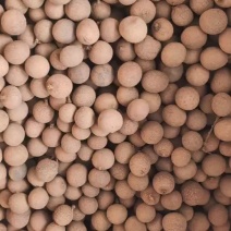 泰国桂圆肉厚小c果经济实惠